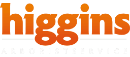 Higgins logo