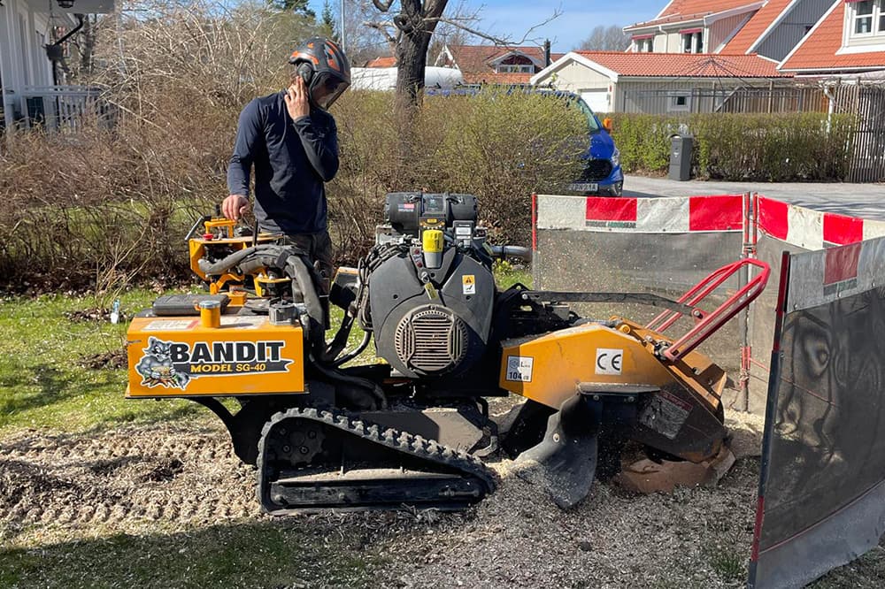 Bild av stubbfräsning